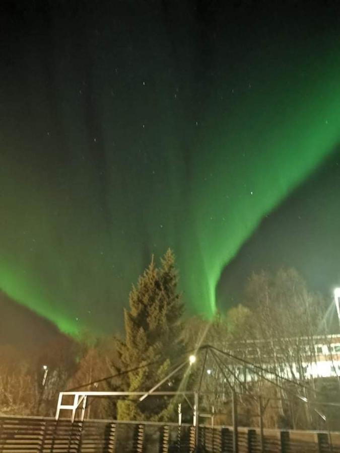 Aurora Rooms In Shared Apartment Nr1 We Are Doing Privet Northen Light Trip, Reindeer Trip And Sommaroy Fjord Trip Tromso Bagian luar foto